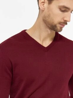 V-hals Truien Trui Bologna Heren Bordeaux 13 V-hals Truien Trui Bologna Heren Bordeaux -Herenkleding Winkel 05b8221591d779494593cb8bf4538742