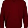 V-hals Truien Trui Bologna Heren Bordeaux -Herenkleding Winkel 08ecf2b3d1d4c3be84766fae48a9d865