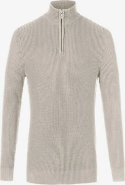 Coltruien Trui Heren Grijs