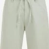 WE FASHION Chino Shorts Loosefit Chino Heren Pastelgroen