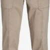 Jack & Jones Chinos Regular Chino Heren Beige -Herenkleding Winkel 1e6f5fced059e90715d190cf111057d0