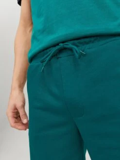 Jack & Jones Sweat Shorts Regular Broek BEX Heren Smaragd -Herenkleding Winkel 231a8c381ec9968e2aebf58b687ada89
