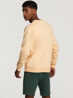 Shiwi Sweat Shorts Regular Broek Steve Heren Donkergroen -Herenkleding Winkel 2dfa07f0bdfcad097d759ec6a7676f05