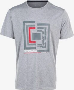 Virtus T-shirts Shirt Utert Heren Grijs