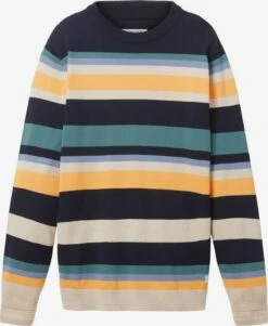 Tom Tailor Crewneck Truien Trui Heren Gemengde Kleuren