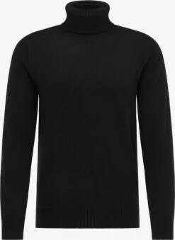 Coltruien Trui Heren Zwart