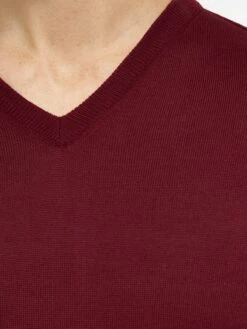 V-hals Truien Trui Bologna Heren Bordeaux 14 V-hals Truien Trui Bologna Heren Bordeaux -Herenkleding Winkel 8d75fd7abd637f4e39c24a206e262ae2