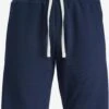 Jack & Jones Sweat Shorts Regular Broek SPIRIT Heren Navy -Herenkleding Winkel 9443386da2c6d2c83cc5b07bfa90ca3b