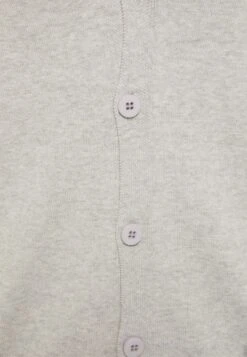 Vesten Gebreid Vest Heren Lichtgrijs -Herenkleding Winkel 956e33203bd7d393670c883bd3c7eafe