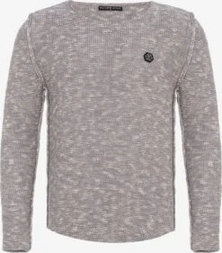 Crewneck Truien Trui Lakewood Heren Grijs