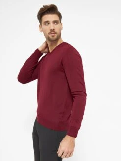 V-hals Truien Trui Bologna Heren Bordeaux 12 V-hals Truien Trui Bologna Heren Bordeaux -Herenkleding Winkel 9778ca6eb095fa98a7806aee4d7b824f