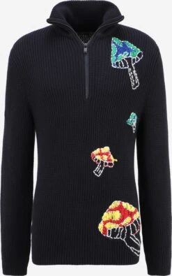 Coltruien Trui Drykorn Upcycled Mushroom Heren Blauw