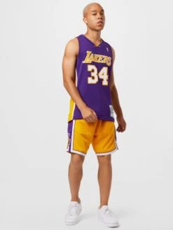 Mitchell & Ness Tanktops Shirt LA LAKERS - NBA SWINGMAN Heren Donkerlila -Herenkleding Winkel cef44c0d25d6ecebd9414f41a8b47296