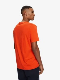 ESPRIT T-shirts Shirt Heren Oranje -Herenkleding Winkel d0e1fb2ac117b8f61f20f354335427c0