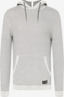 QS By S.Oliver Hoodies Trui Heren Lichtgrijs / Grijs Gemêleerd