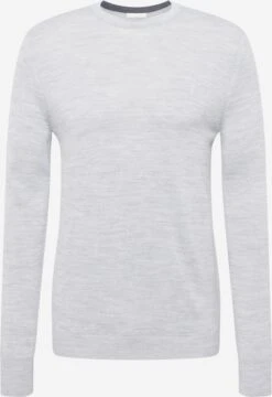 Crewneck Truien Trui Jupiter Heren Lichtgrijs