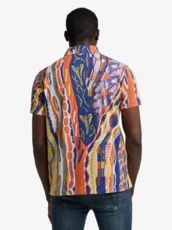 CARLO COLUCCI Polos Regular Fit Shirt De Barba Heren Gemengde Kleuren -Herenkleding Winkel e1aca20e9ba117c29ece1c13d8ecb4a8