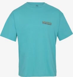 Volcom T-shirts Shirt Alstone Heren Aqua