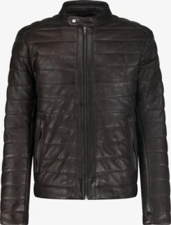 Leren Jassen Tussenjas Phoenix Heren Bruin